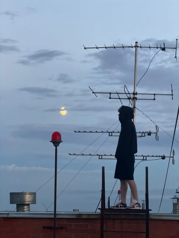 Rooftop evening in Khimki: moonlight, strawberries, and city views
