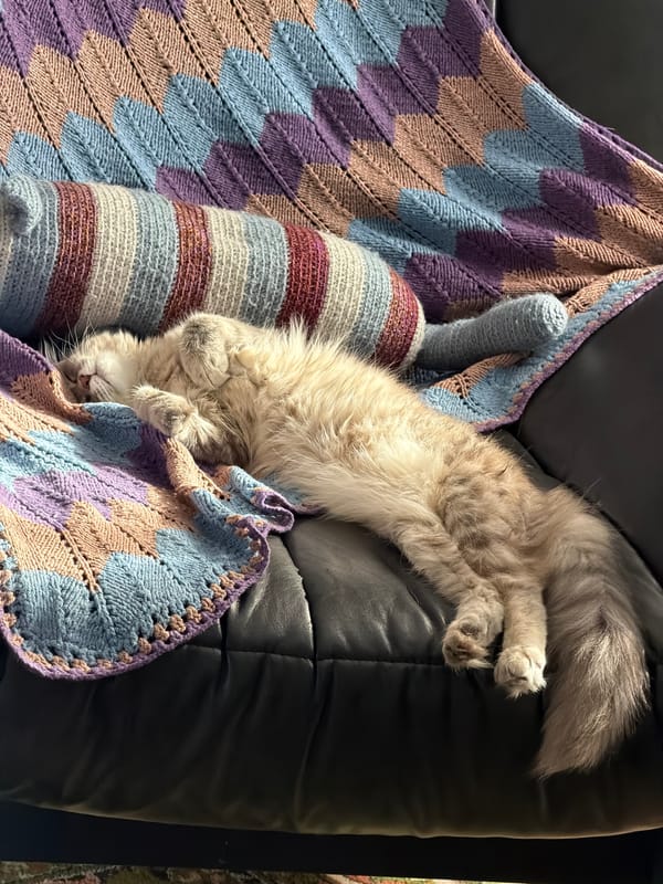 Woman's morning routine with pets captured in Sarapul home