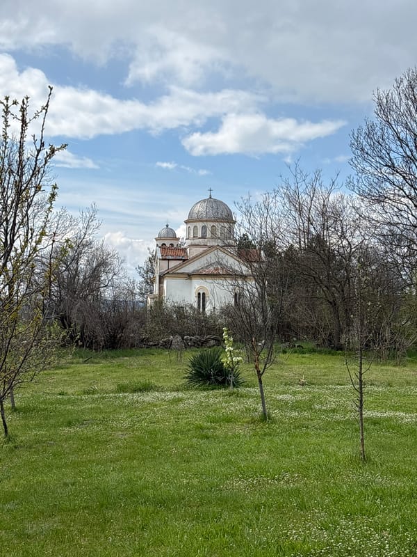 Village life documented in rural Rabrovo, Bulgaria spring morning