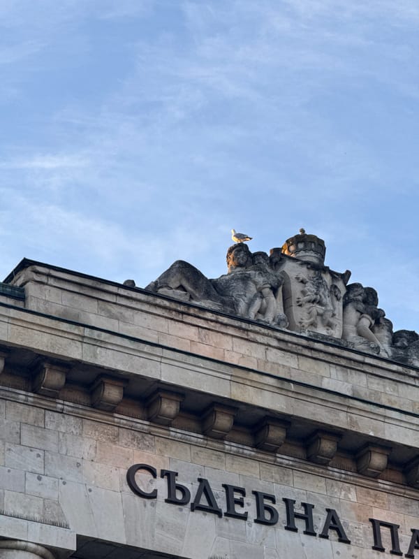 Evening scenes documented in Ruse, Bulgaria parks and architecture