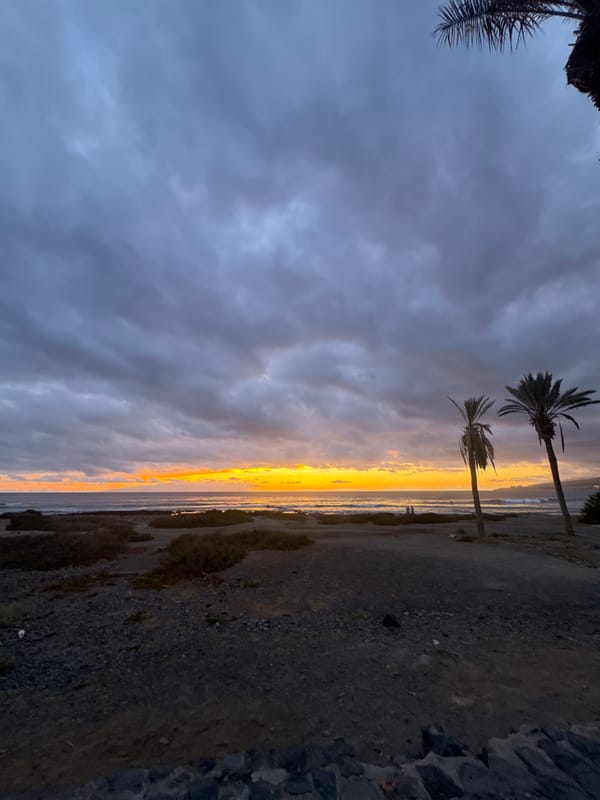 Tenerife sunset from the beach, palm trees and surf