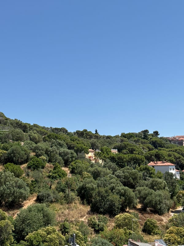 Sunny hillside views and a retro mug in Barcelona