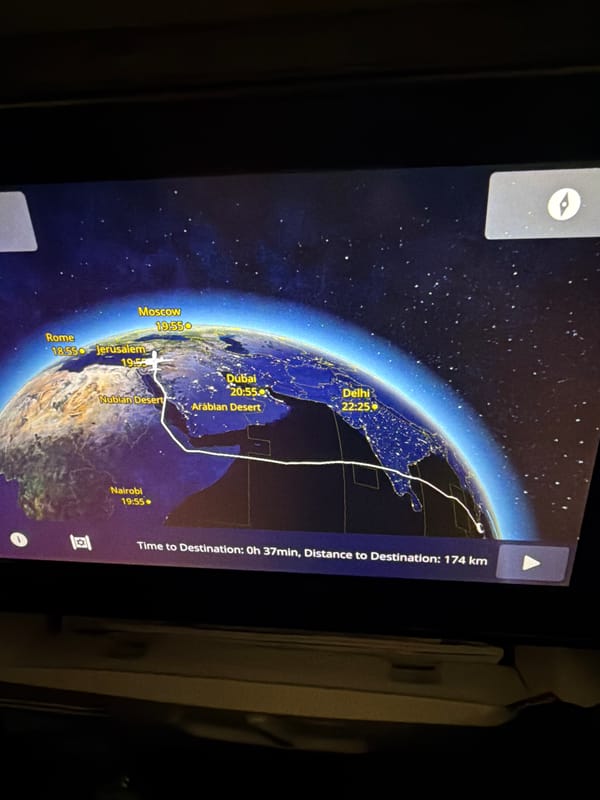 Passenger captures in-flight map showing Earth from space view