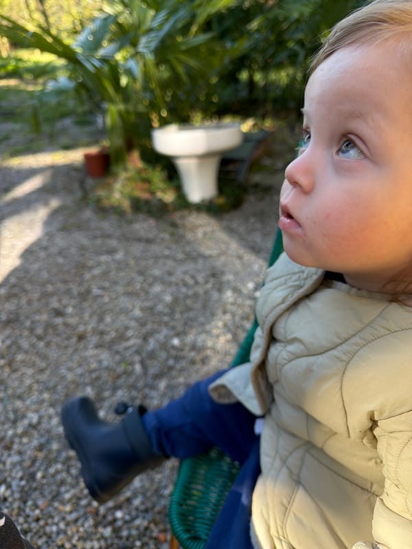 Toddler sits in outdoor chair in Erba garden
