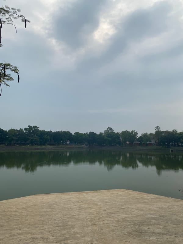 Lakeside park life in East Jakarta, cats and all