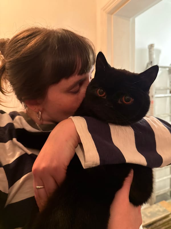 Woman holds black cat in London evening moment