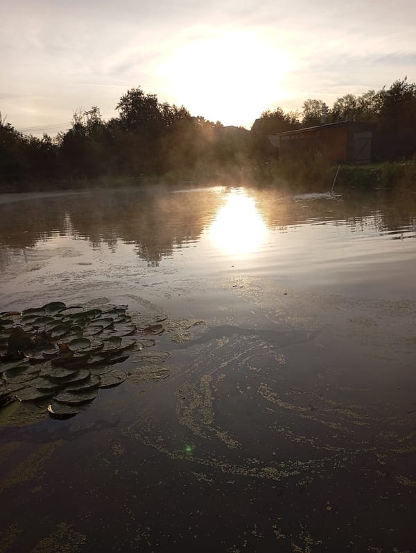 Fishing and stillness at a rural lake in Malyi Bukor