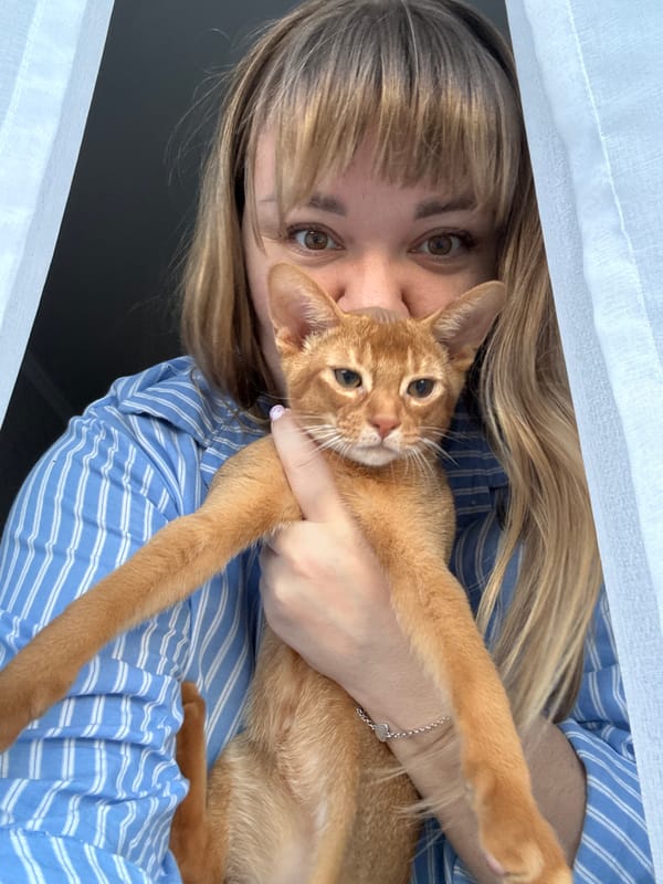 Lazy afternoon with a ginger cat at home in Stary Oskol