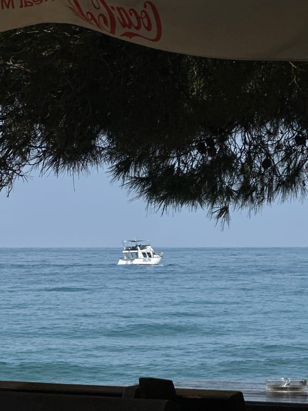White boat 'DELFIN' spotted from seaside cafe in Šušanj