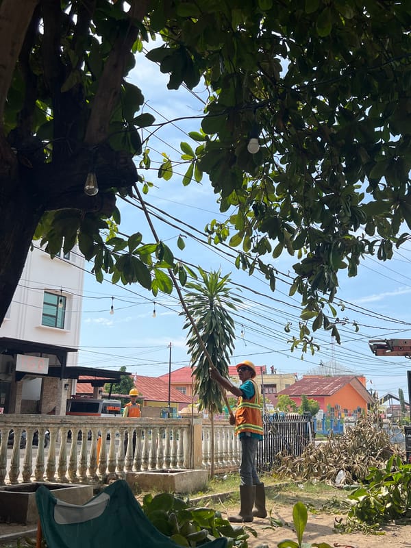 Tree pruning crew at work outside Lhokseumawe emergency facility