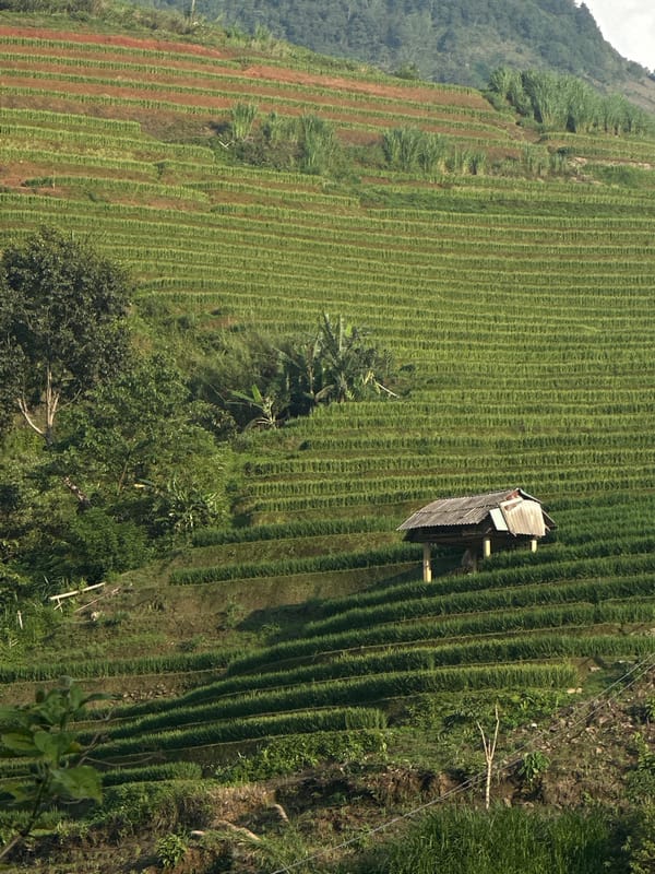 Rural Vietnamese landscapes captured in terraced fields, waterways