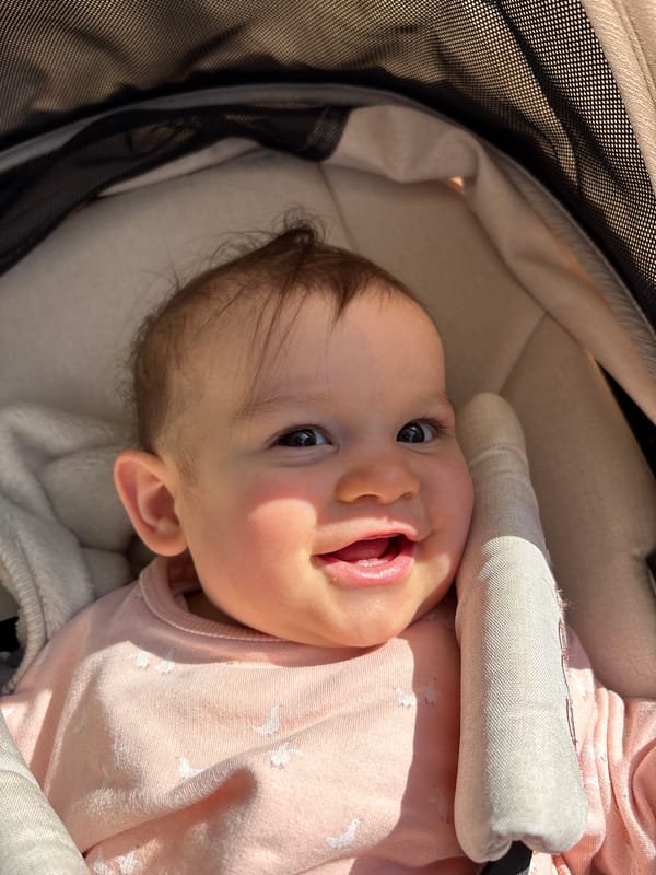 Afternoon baby stroll documented through Veghel's canals and squares