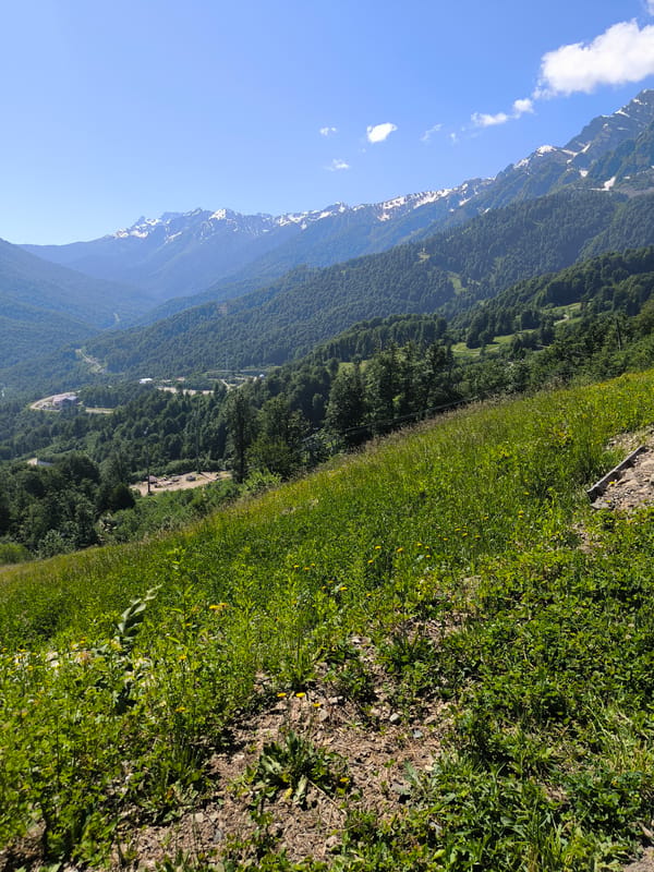 Lush mountain terrain from ground to aerial on a clear morning