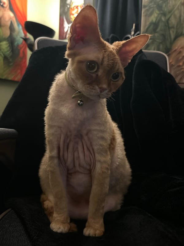 Artist paints figure portrait in Cape Coral studio