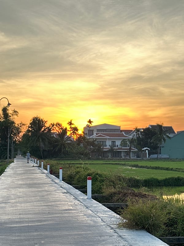 Sunset over rice paddies and canals on Da Nang's rural edge