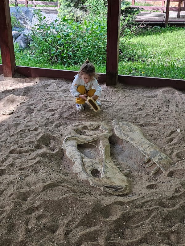 Child plays with dinosaur replicas in Khimki sandbox playground