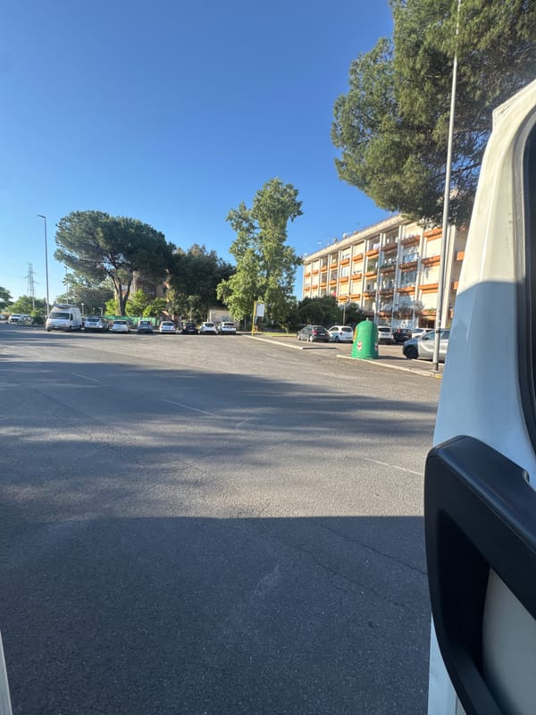 Cat rests beside parked car on Rome street