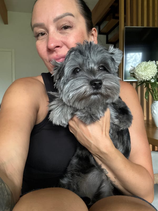 Quiet morning at home with a small gray dog in Chaikovsky