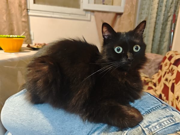 Evening home life and street scenes in Al Hadaba