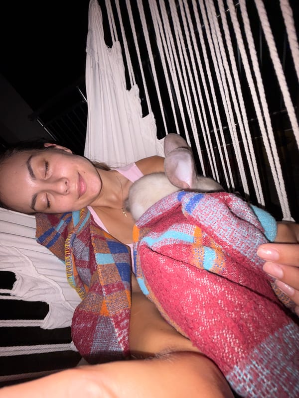 Quiet hammock moment with a rabbit in Tsarevo