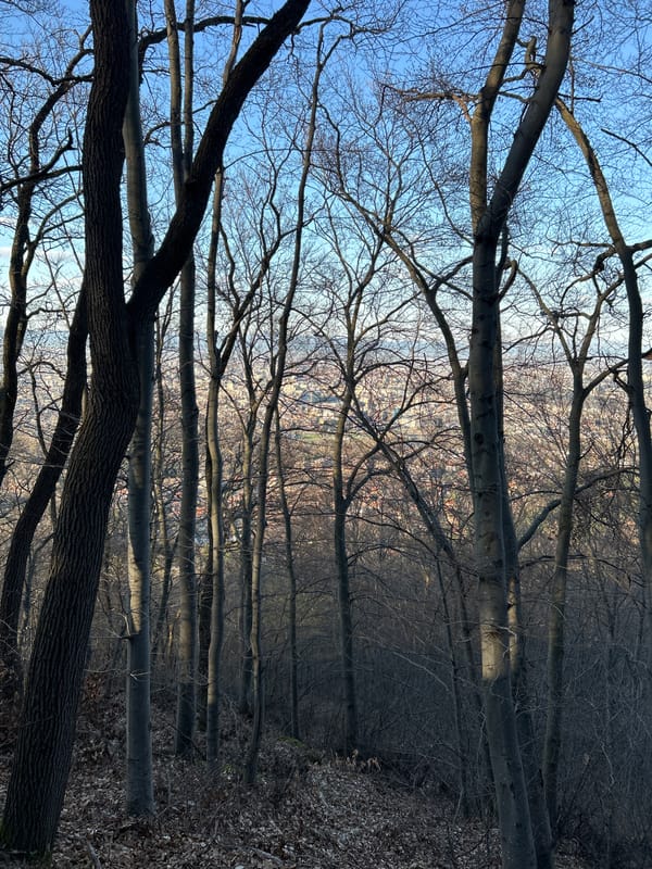 Spring hillside gathering overlooks city amid bare trees