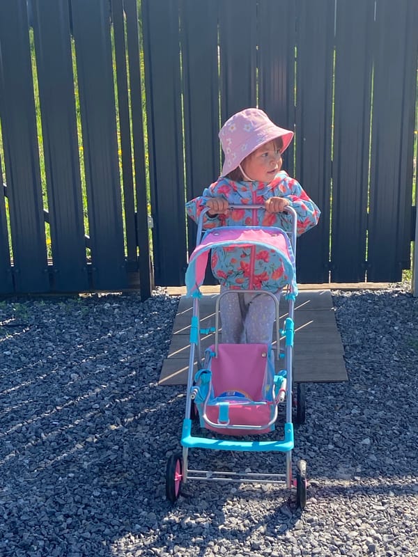 Child plays with toy stroller and cat in Tyumen