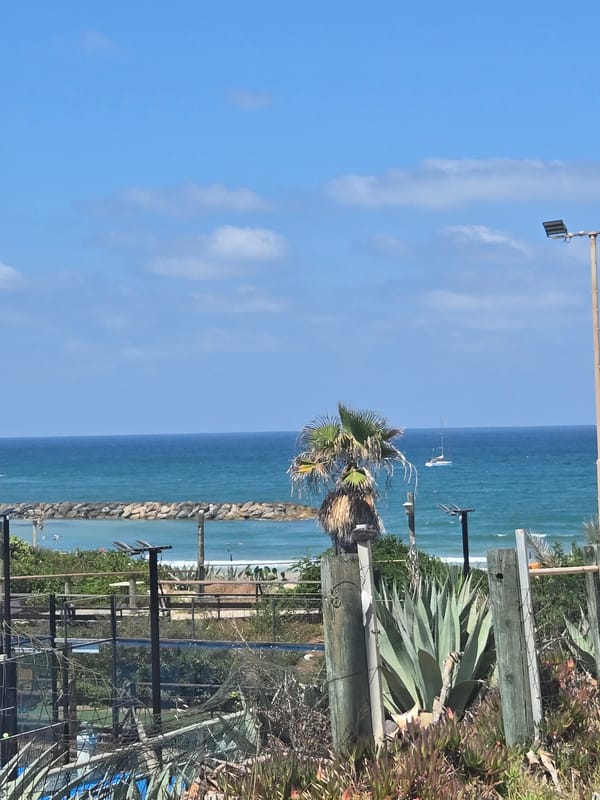 Coastal padel and tennis complex on the Herzliya seafront