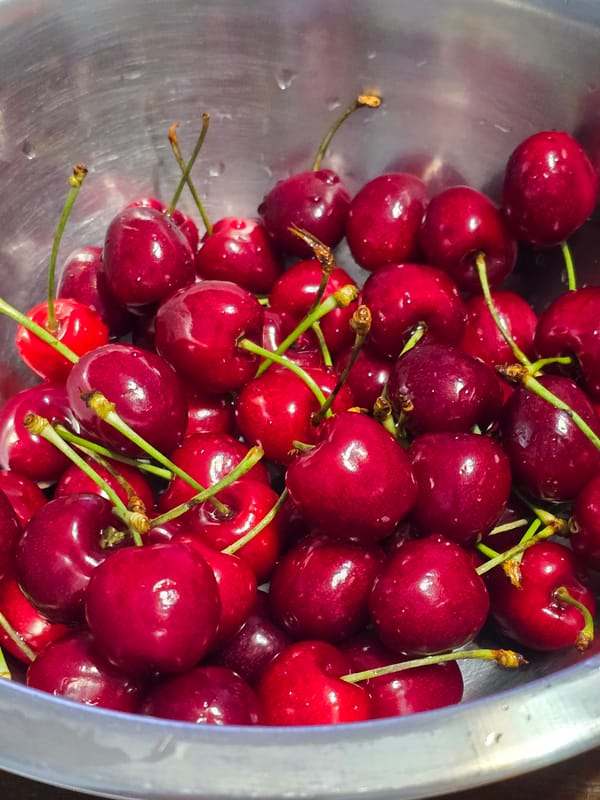 Fresh cherries photographed in metallic bowl in Sofia