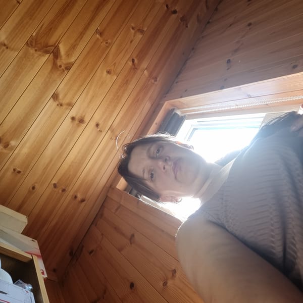 Lazy cabin evening with a cat and sunlit wooden interiors