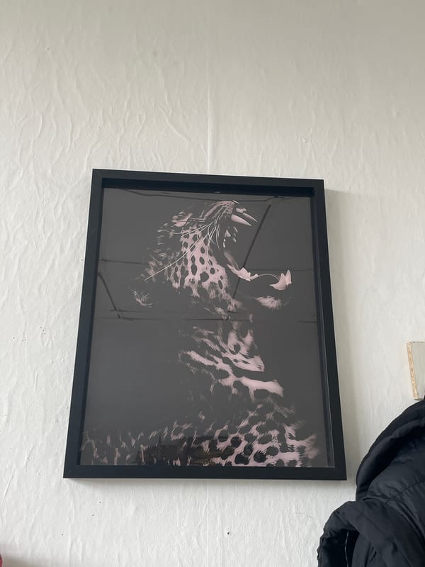 Framed leopard artwork observed on wall in Sofia