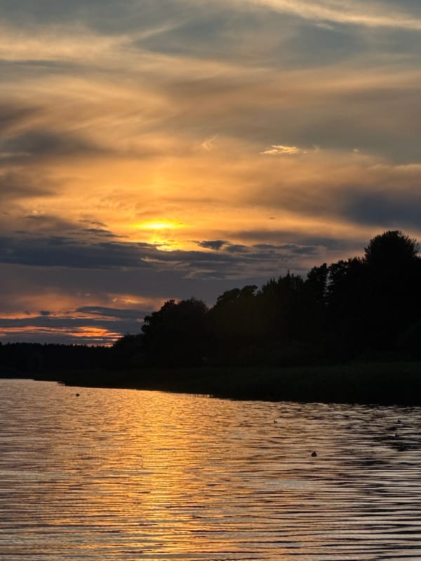 Tallinn shoreline at golden hour — ducks, water, and a guitar