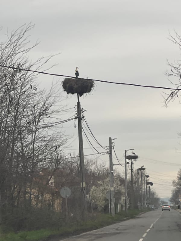 Rural morning scenes documented near Bratovo, Bulgaria