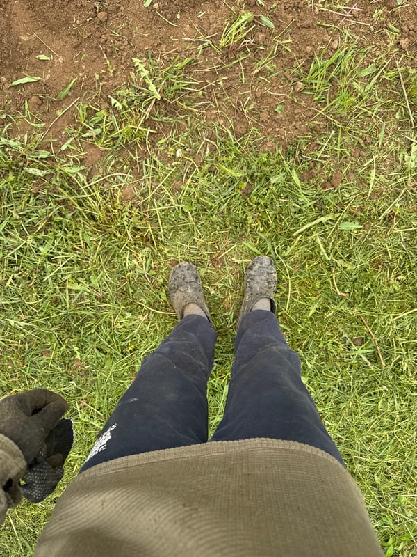 Rural garden work documented in Russian village under overcast skies