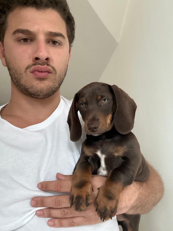 Man holds dachshund puppy in Raanana, Israel