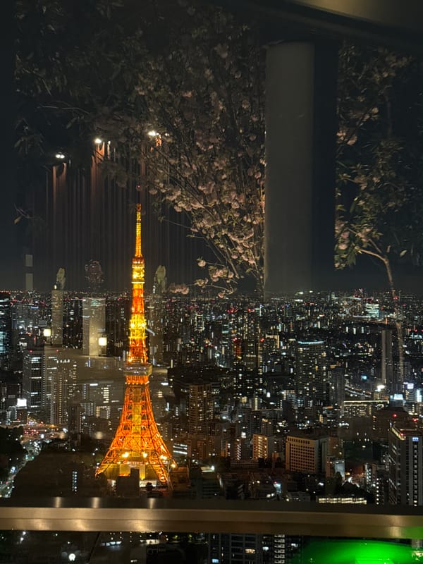 Tokyo cityscape photographed through window with spring blossoms
