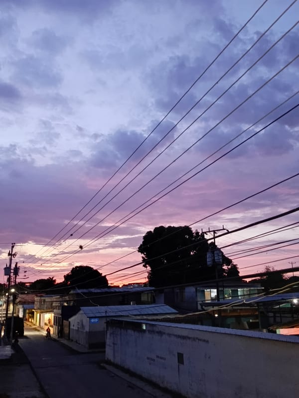 Evening scenes from residential Tinaquillo: dogs, cooking, dusk skies