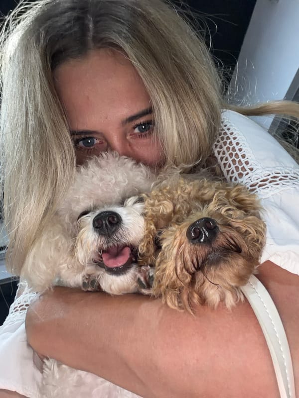 Woman holds white dog affectionately in Kedewatan home