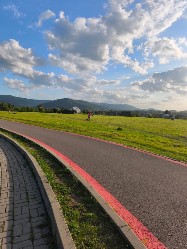 Bike paths, park benches, a cat, and a rural sunset afternoon