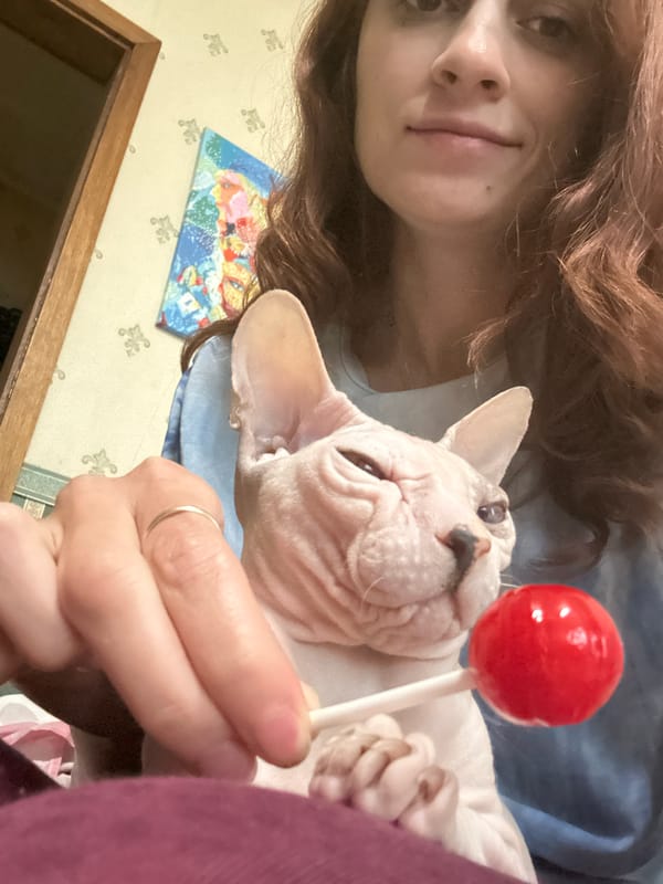 Sphynx cat and tarot cards in a mystical home setting