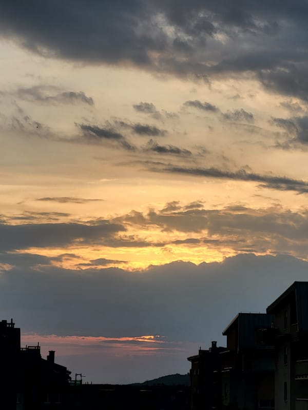 Urban sunset, domestic cat, and coffee preparation witnessed May 24