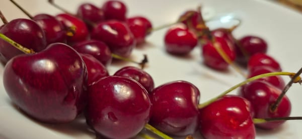 Domestic life documented in Varna through still-lifes and portraits