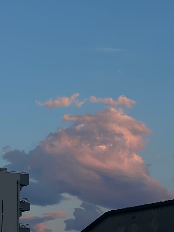 Sunset sky with pink clouds observed over building