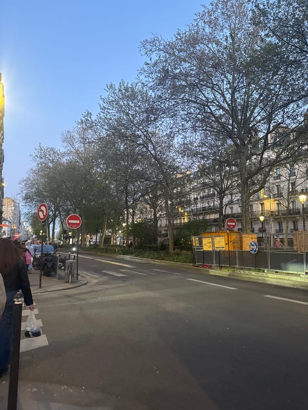 Spring evening captured on tree-lined Paris street