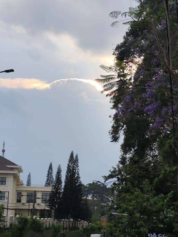 Routine urban life documented across Da Lat, Vietnam