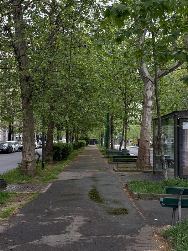 Street scene captured on Viale Beatrice d'Este in Milan