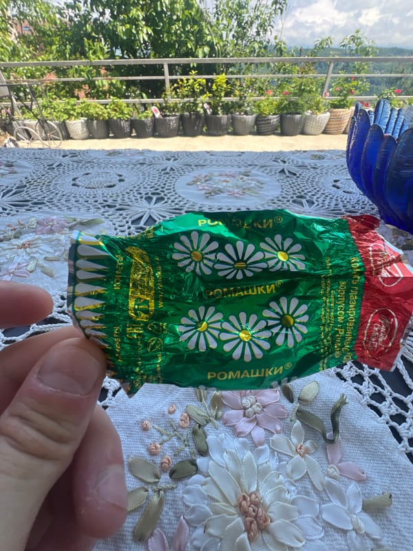 Morning garden walk documented in Sochi, Russia