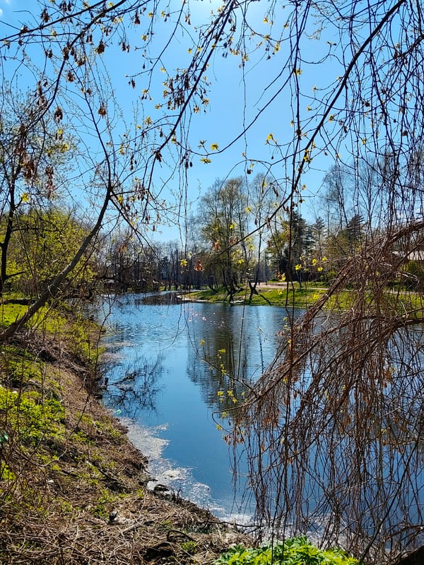 Spring afternoon documented in Udelnaya, Russia residential area