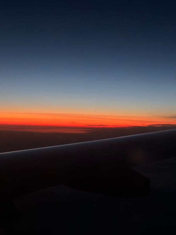 Woman documents airplane journey with selfies over Russia twilight