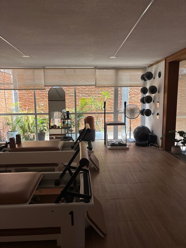 Modern exercise space documented in Puebla, Mexico