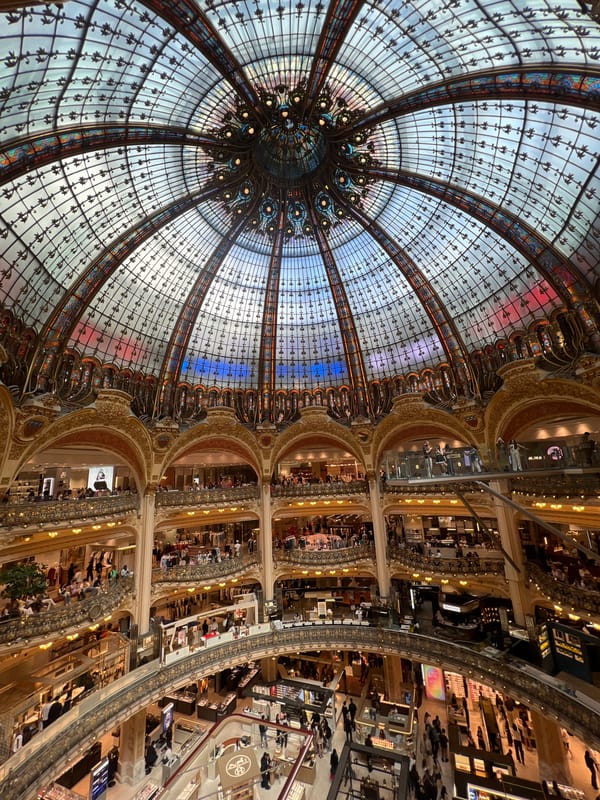 Shopper documents Galeries Lafayette's iconic Art Nouveau interior features